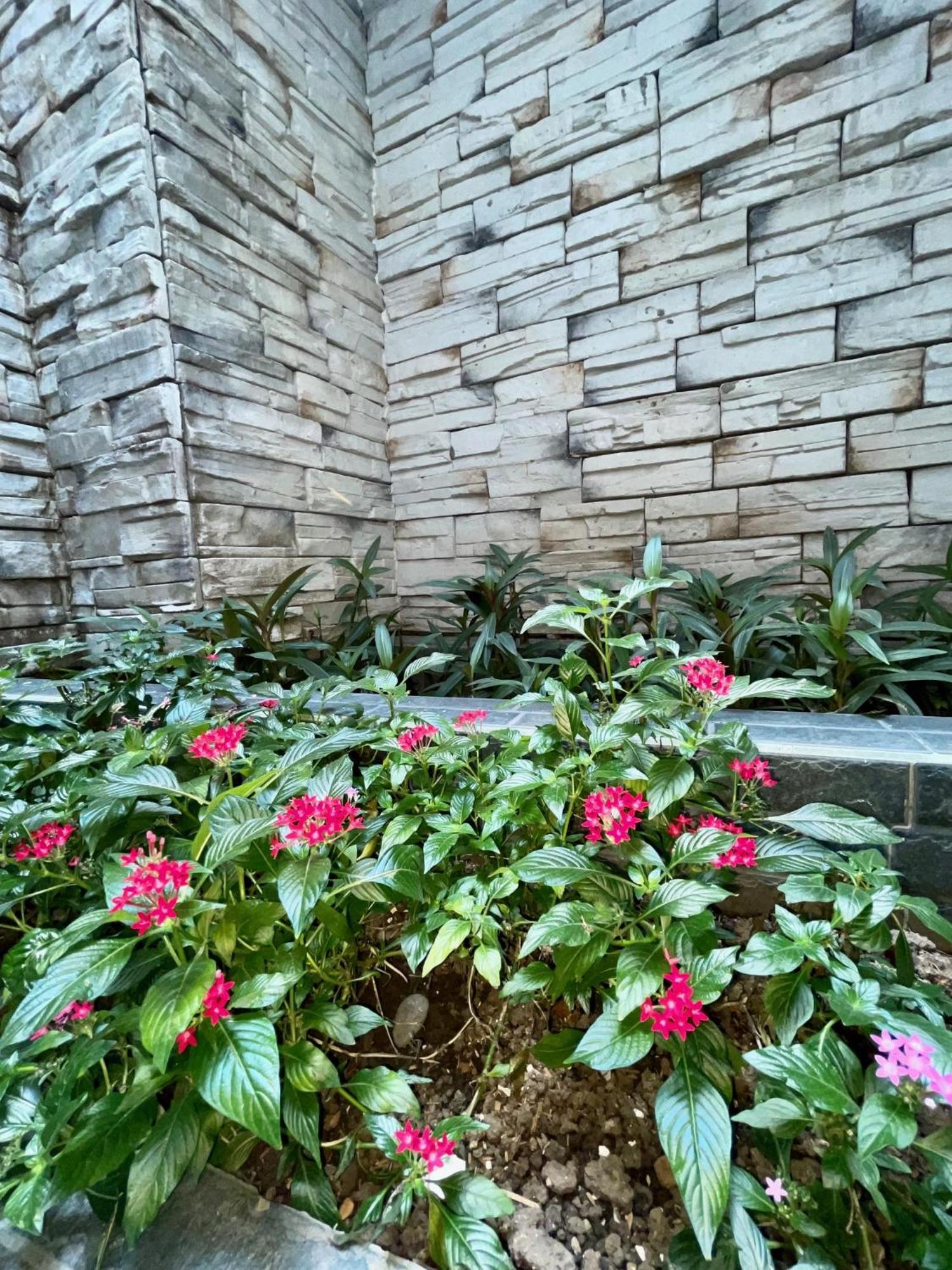 Hotel Simon เมเดยิน ภายนอก รูปภาพ